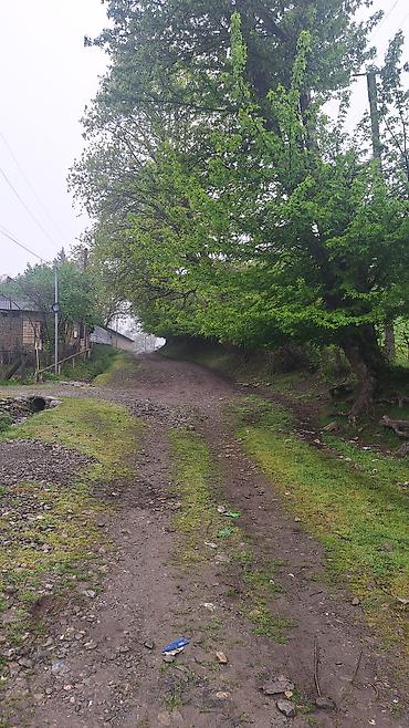 ortopedik matraslar bakida: Torpaq qəbələ rayonu vəndam qəsəbəsində yerləşir 2 nömrəli məktəbin — 5