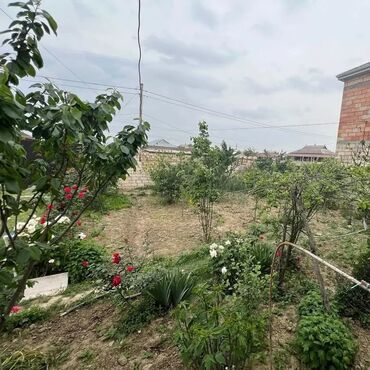 Həyət evləri və villaların satışı: 3 otaqlı, 110 kv. m, Yeni təmirli — 10