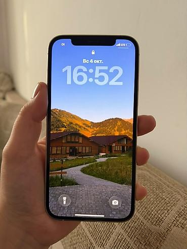 IPhone 12 Pro, модель MGMA3J/A нескрытый Основные характеристики: -