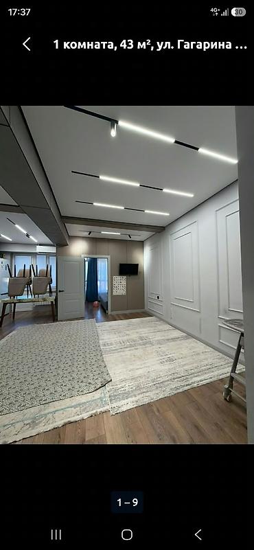 Продажа квартир: 1 комната, 43 м², Ак-Орго ж/м Элитка, 6 этаж, Евроремонт — 9
