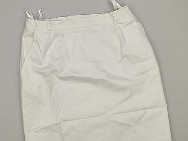 zara basic 77302: Spódnica damska, rozmiar XL — 1
