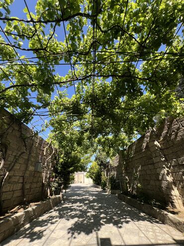 Bağ evlərinin satışı: Digah, 340 kv. m, 4 otaqlı, Artezian quyusu, Kanalizasiya, Kombi — 32