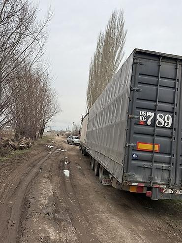 Прицепы и полуприцепы: Прицеп, DAF, Тентованный — 11