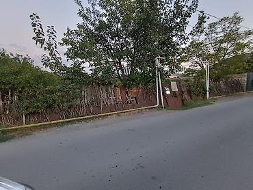 visnofkada torpaq: 5 sot, Tikinti, Mülkiyyətçi, Kupça (Çıxarış), Texniki pasport — 2