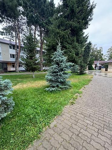 Продажа квартир: 2 комнаты, 50 м², 1 этаж, Евроремонт — 4