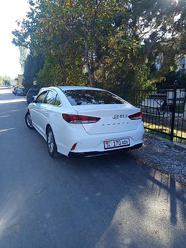 Транспорт: Hyundai Sonata: 2019 г., 0.2 л, Автомат, Газ, Седан — 3