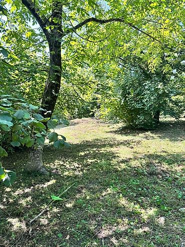 boş torpaq: 25 sot, Tikinti, Kupça (Çıxarış) — 3