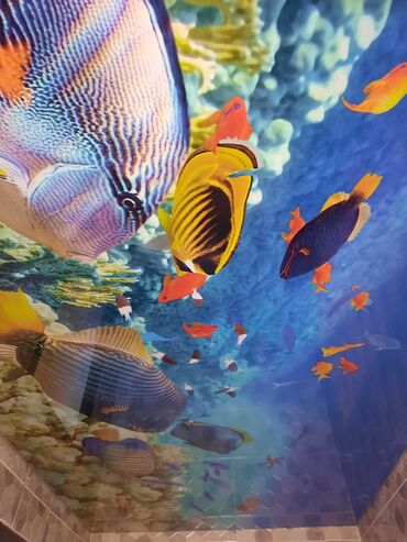 Потолочные работы: Натяжные потолки качественные, монтаж, демонтаж, натяжной потолок at lalafo.kg — 16 Потолочные работы: Натяжные потолки качественные, монтаж, демонтаж, натяжной потолок — 16