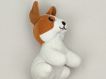 Mascot Dog, condition - Very good