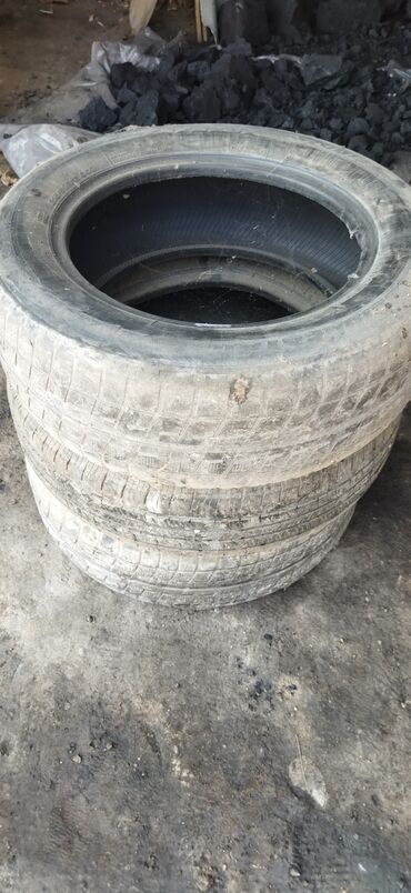 каракол шина: Шиналар 205 / 65 / R 16, Жай, Колдонулган, Жеңил унаалар, Bridgestone