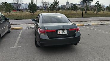 дать объявление: Honda Accord: 2011 г., 2.4 л, Автомат, Бензин, Седан — 1