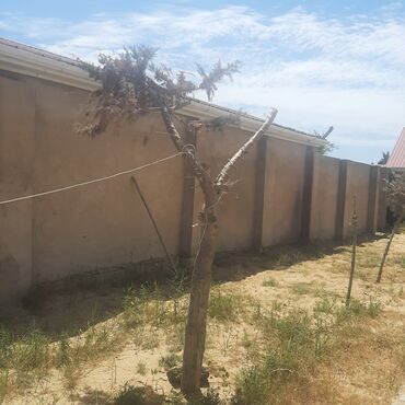 neftciler rustemov kiraye evler: Digah, 100 kv. m, 5 otaqlı, Qaz, İşıq, Telefon