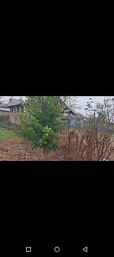 Torpaq sahələrinin satışı: Mingəçevir Havarlı kəndində 14 sot torpaq sahasi satılır sənədi qanuni -da lalafo.az — 9 Torpaq sahələrinin satışı: Mingəçevir Havarlı kəndində 14 sot torpaq sahasi satılır sənədi qanuni — 9