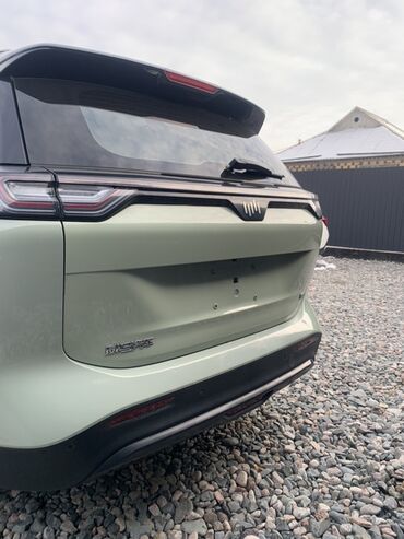 Weltmeister: Weltmeister W6, 2021 г., 71000 км, Передний, В наличии — 9