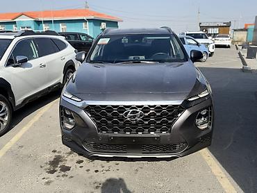 model y: Hyundai Santa Fe: 2019 г., 2 л, Автомат, Дизель, Кроссовер — 2