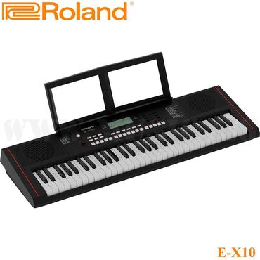 переходник для микрофона: Синтезатор Roland E-X10 Стильный и недорогой портативный клавишный