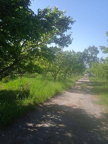 Продажа участков: 194 соток, Для бизнеса, Красная книга — 6