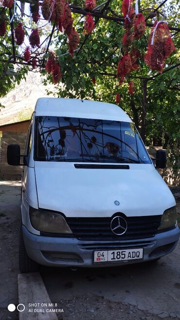 шины с дисками на 14: Mercedes-Benz Sprinter: 2000 г., 3 л, Механика, Дизель, Бус