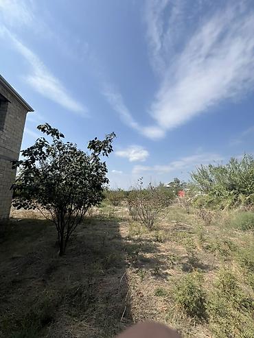 Torpaq sahələrinin satışı: Satış üçün torpaq sahəsi və yarımçıq tikili. - Ərazi: hündür daş — 12