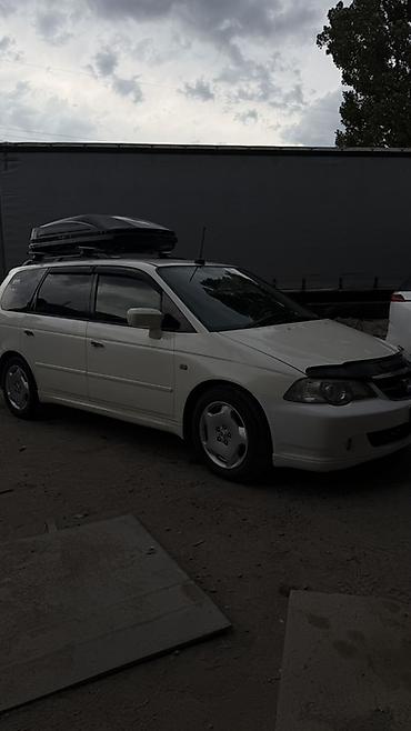 subaru outback 2003: Honda Odyssey: 2003 г., 3 л, Автомат, Бензин, Минивэн — 3