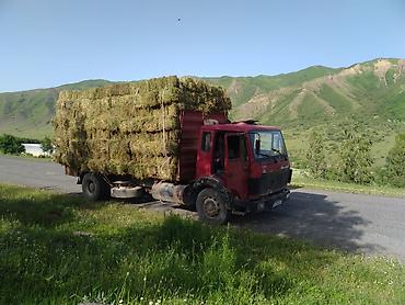 e34 2 5: Грузовик, Mercedes-Benz, Стандарт, Б/у — 5