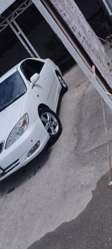 тормозной диск камри: Toyota Camry: 2003 г., 2.4 л, Автоматтык, Бензин, Седан