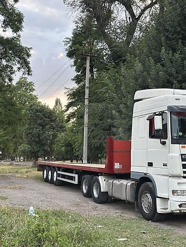Тягачи: Тягач, DAF, 2004 г., Без прицепа — 16