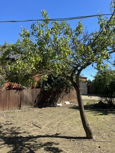 Torpaq sahələrinin satışı: 4 sot, Tikinti, Mülkiyyətçi, Kupça (Çıxarış), Texniki pasport -da lalafo.az — 8 Torpaq sahələrinin satışı: 4 sot, Tikinti, Mülkiyyətçi, Kupça (Çıxarış), Texniki pasport — 8