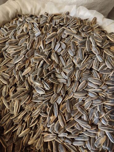 Digər qida məhsulları: Qovrulmuş və çiy,ağ və qara semiçkalar çəki ilə satılır. Sifariş -da lalafo.az — 5 Digər qida məhsulları: Qovrulmuş və çiy,ağ və qara semiçkalar çəki ilə satılır. Sifariş — 5