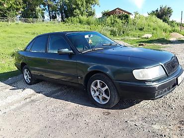 Audi: Audi 100: 1992 г., Седан — 7