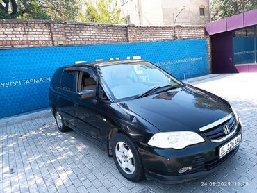 фара на поло: Honda Odyssey: 2003 г., 2.3 л, Автомат, Газ, Минивэн