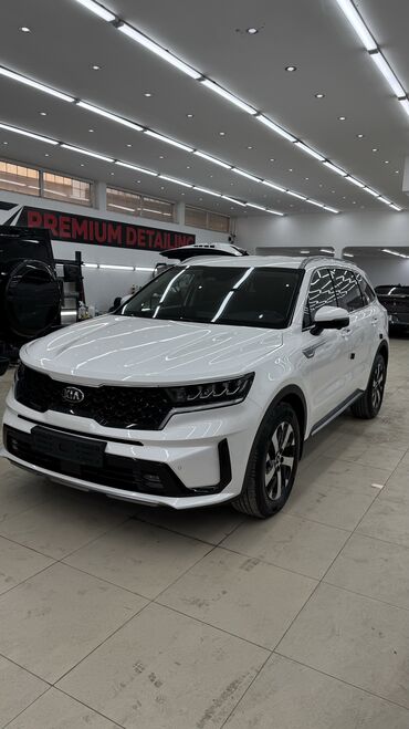 124 подлокотник: Kia Sorento: 2020 г., 2.2 л, Робот, Дизель, Кроссовер