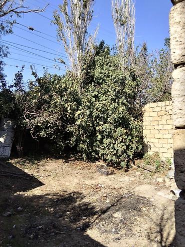Həyət evləri və villaların satışı: 3 otaqlı, 60 kv. m, Kredit yoxdur, Orta təmir — 11