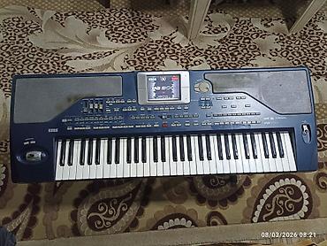 Sintezatorlar: Sintezator, Korg, İşlənmiş — 4