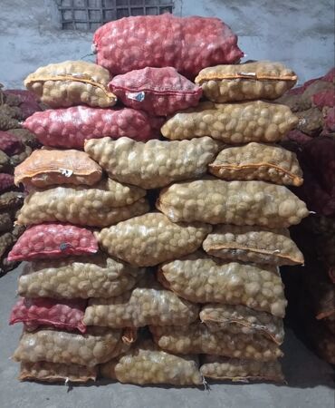 кресло офисное бишкек цена: Картошка Пикассо, Дүңүнөн