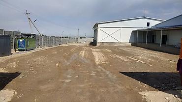 Кладка: Укладка асфальта Бесплатная консультация, Гарантия, Монтаж Больше 6 лет опыта — 15