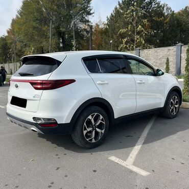 Kia: Kia Sportage: 2019 г., 2 л, Автомат, Дизель, Кроссовер — 3