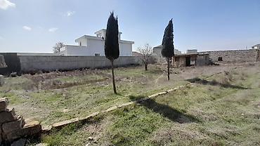Torpaq sahələrinin satışı: 12 sot, Tikinti, Makler, Kupça (Çıxarış) — 1