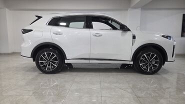 Changan: Model: Qiyuan Q05 125 km AIR (ağ rəngli, SUV) Xüsusiyyətlər və dizayn — 9