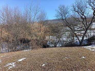 Torpaq sahələrinin satışı: 100 sot, Mülkiyyətçi, Bələdiyyə — 6