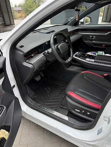 byd e2: Jetour Dasheng: 2023 г., 1.6 л, Автомат, Бензин, Кроссовер — 10