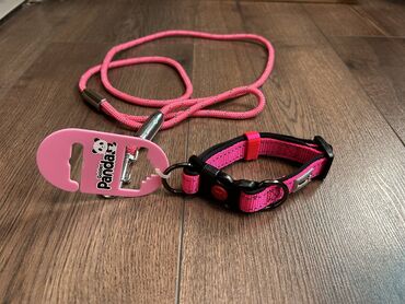 купить ошейник для щенка: Ошейник с поводком фирменный Panda для собак. Качество отличное