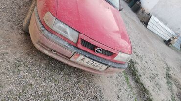 Opel: Opel Vectra: 1993 г., 2 л, Механика, Бензин, Седан