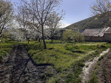 Torpaq sahələrinin satışı: 10 sot, Tikinti, Mülkiyyətçi, Kupça (Çıxarış) — 3