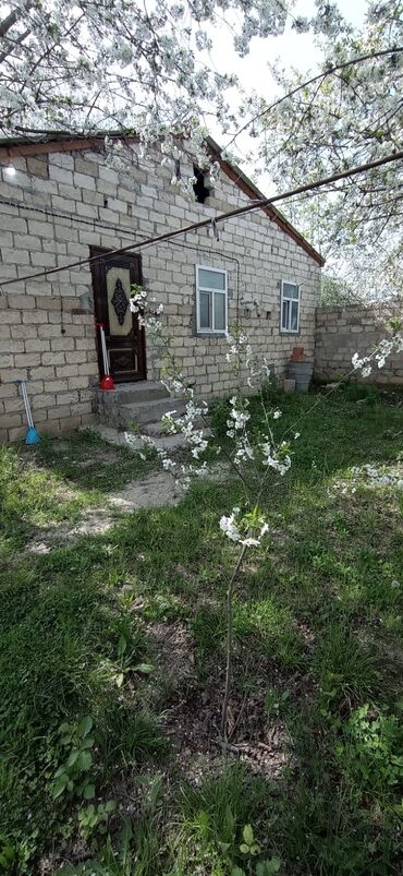 Torpaq sahələrinin satışı: 9 sot, Tikinti, Mülkiyyətçi, Kupça (Çıxarış) — 21