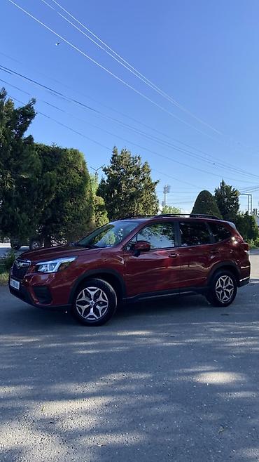 Subaru: Subaru Forester: 2020 г., 2.5 л, Вариатор, Бензин, Кроссовер — 2
