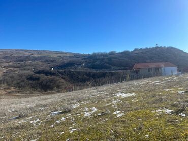 Torpaq sahələrinin satışı: 15 sot, Tikinti, Makler, Kupça (Çıxarış)