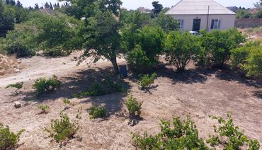 Torpaq sahələrinin satışı: 12 sot, Tikinti, Maklerlər narahat etməsin, Kupça (Çıxarış) — 2