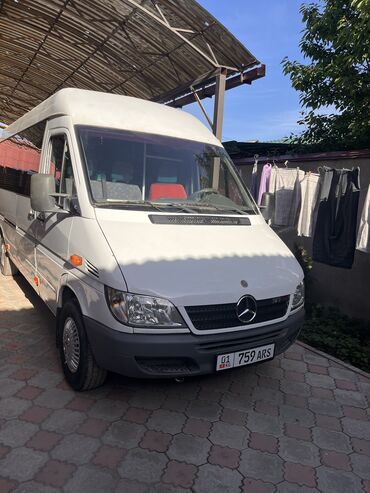 Mercedes-Benz: Mercedes-Benz Спринтер: 2002 г., 2.2 л, Механика, Дизель, Бус