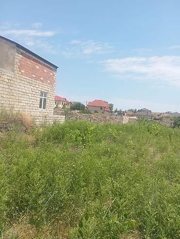 nardaranda torpaq: 13 sot, Tikinti, Mülkiyyətçi, Kupça (Çıxarış) — 4